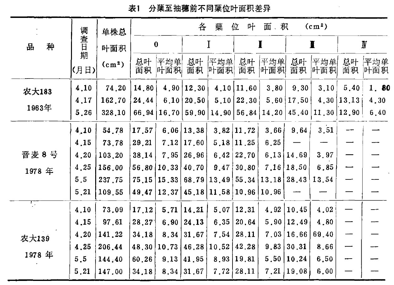 1  ǰͬλҶ