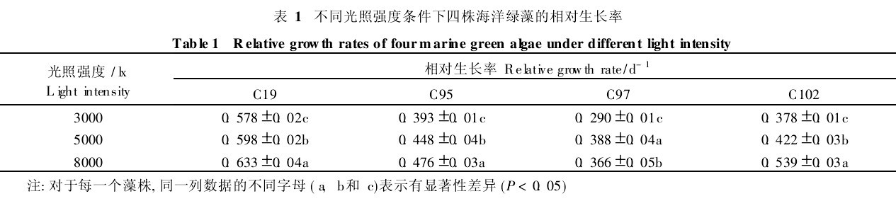 1ͬǿ꺣