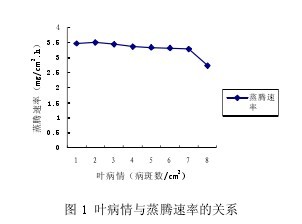 ͼ 1 ҶʵĹϵ